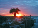 lastsunset22
