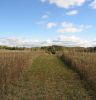 field2.jpg