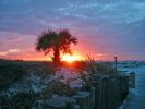lastsunset22.jpg