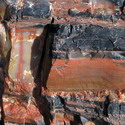 A macro shot of petrified wood at the Petrified Forest National Park