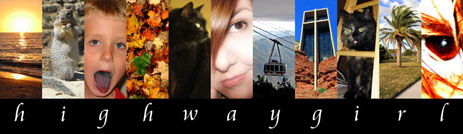 Highwaygirl Logo
