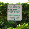 No Dogs!